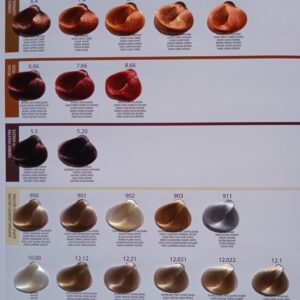 Carta Color Nysha, cobres, rojos, caobas violetas, superaclarantes